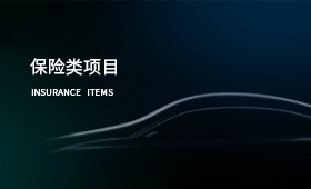 保險(xiǎn)類(lèi)項(xiàng)目案例